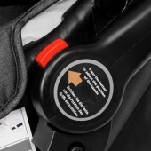 bebeshko-koshche-za-kola-zizito-regina (9)